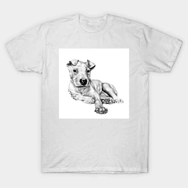 Baby Pittie #1a T-Shirt by markross